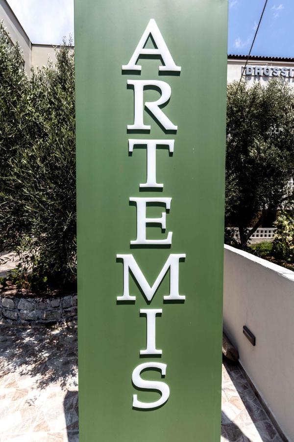 Pansion Artemis Apartment Mavrovouni  Luaran gambar