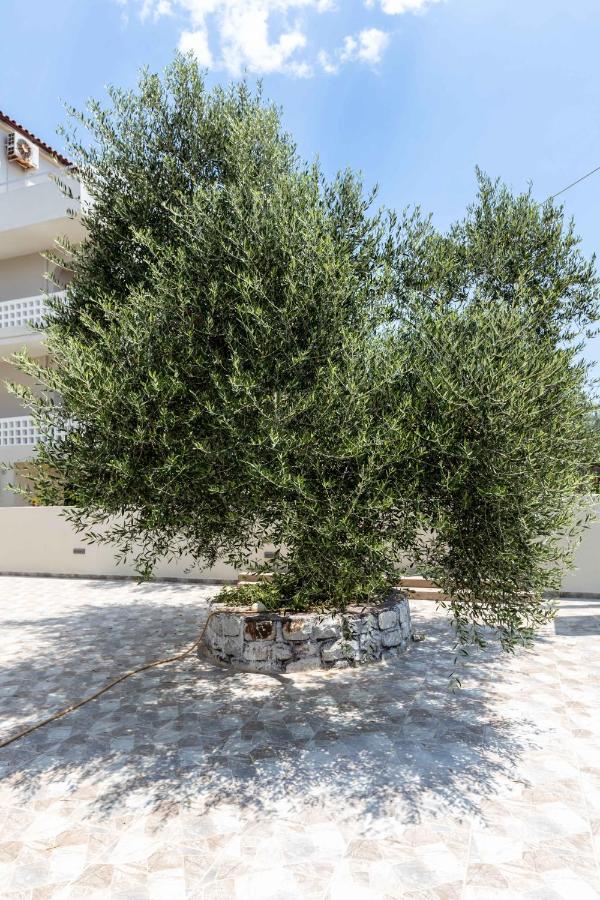 Pansion Artemis Apartment Mavrovouni  Luaran gambar